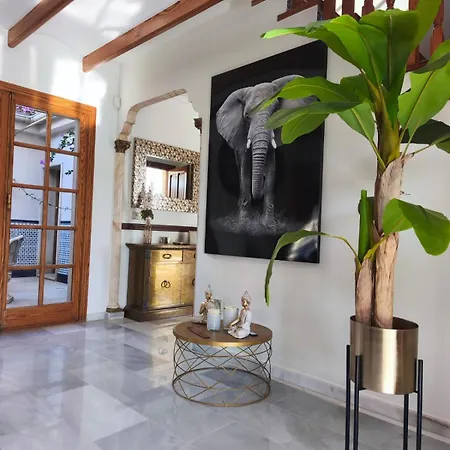 Villa Padel *